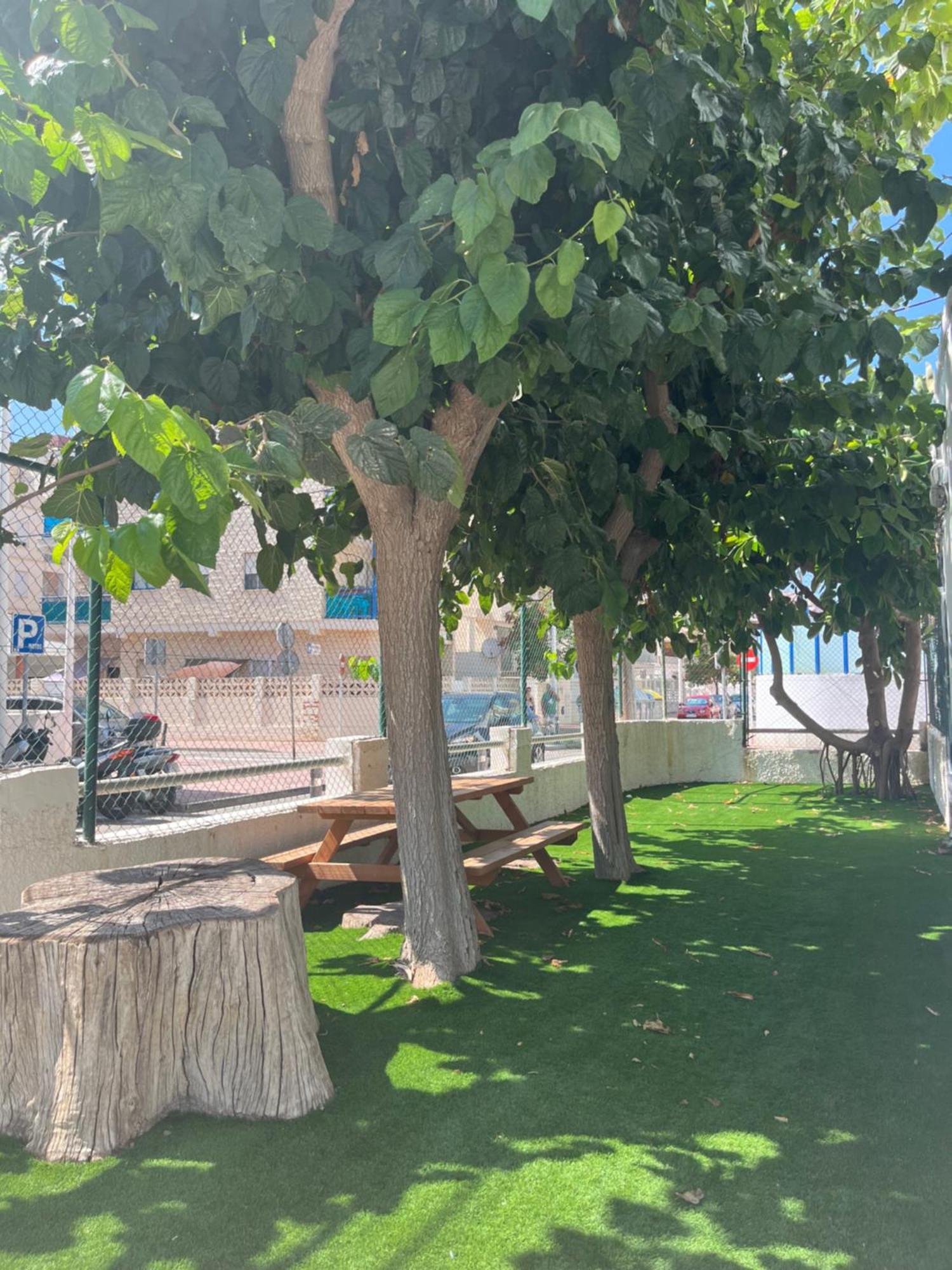Apartamento 1ª Linea De Playa - Con Piscina Y Parking Playa de Gandia Eksteriør bilde